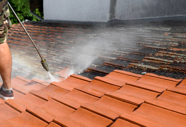 Best Pressure Washing Near Me  in Fayette, OH